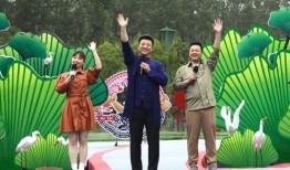 圣诞黑土爆料视频大全最新,揭秘娱乐圈幕后真相